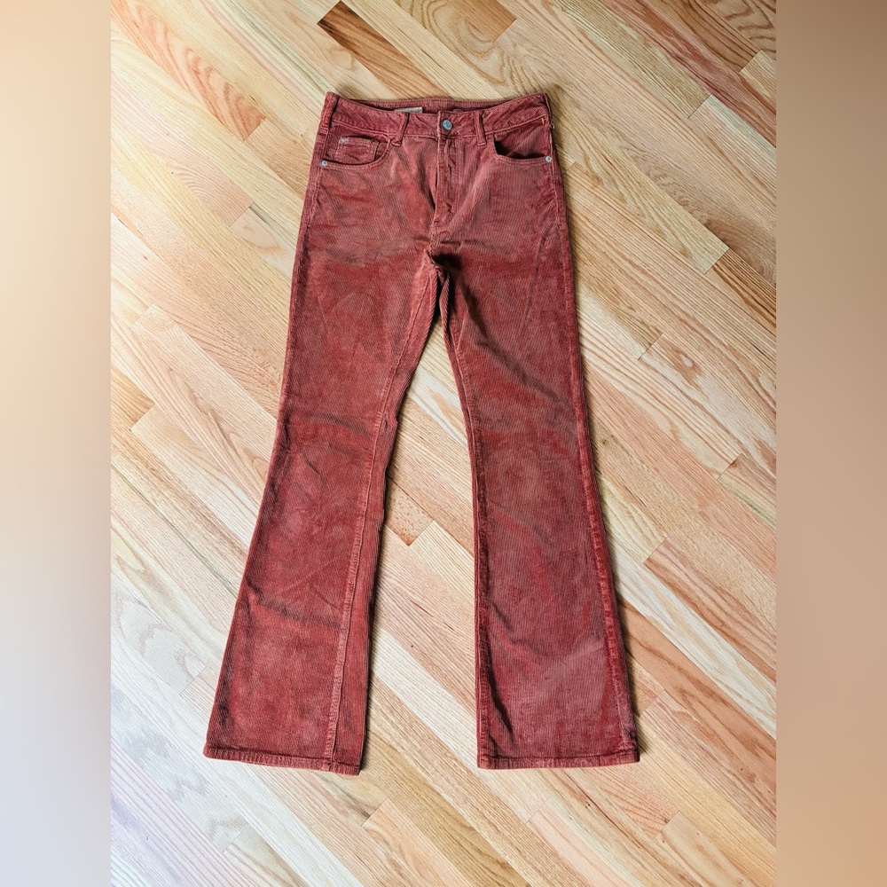 Pilcro Women's Boot Cut Corduroy Jeans in Rust